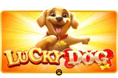 Antarmuka permainan Aviator di aplikasi mobile guru slot